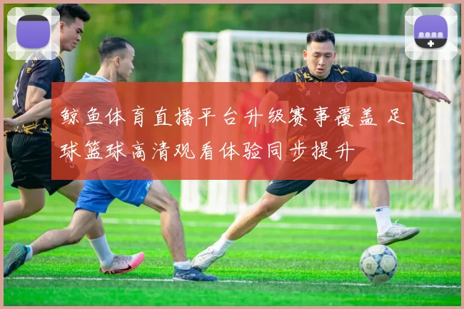 鲸鱼体育直播平台升级赛事覆盖 足球篮球高清观看体验同步提升