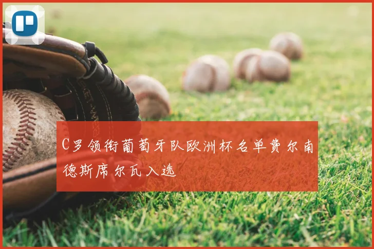 C罗领衔葡萄牙队欧洲杯名单费尔南德斯席尔瓦入选