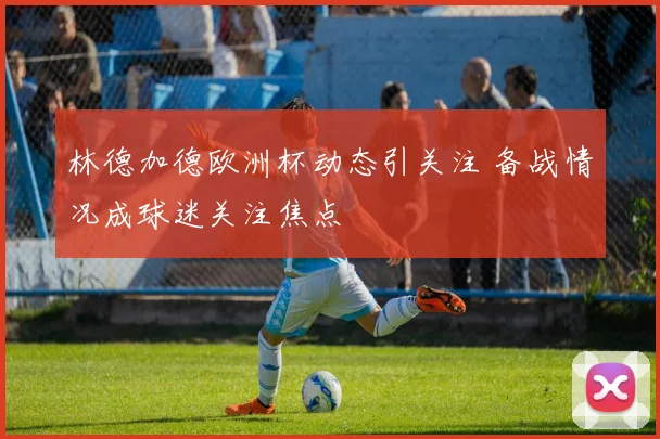 林德加德欧洲杯动态引关注 备战情况成球迷关注焦点