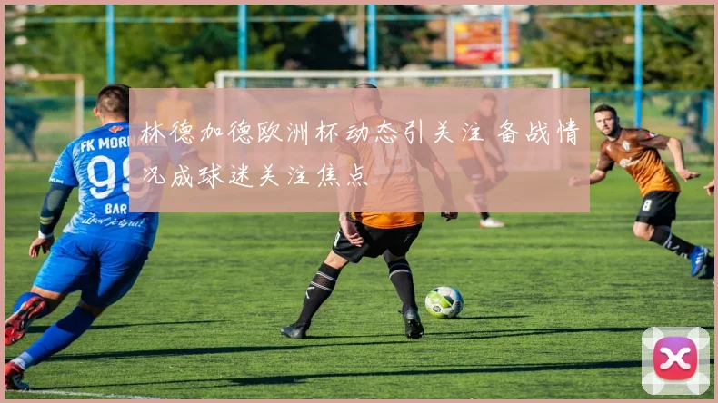 林德加德欧洲杯动态引关注 备战情况成球迷关注焦点