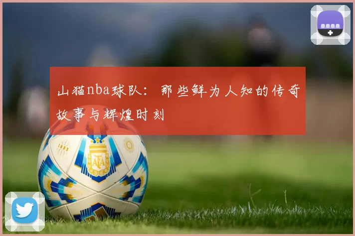 山猫nba球队：那些鲜为人知的传奇故事与辉煌时刻