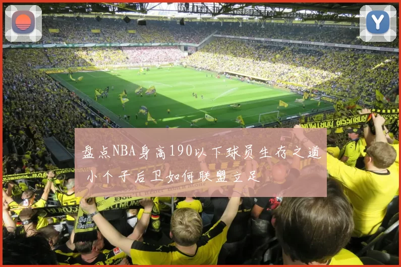 盘点NBA身高190以下球员生存之道 小个子后卫如何联盟立足